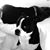 Cynthia Ridgeway's profile image
