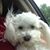 Jodi Blakeley's profile image