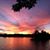Gail Yurkovic's profile image