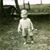 Wilma L. Reeder's profile image