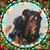 Dayna White's profile image