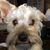 Mike Grabek's profile image