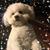 Carmela Delgado Thorsen's profile image