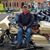 Dennis Reed's profile image