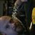 J.J. Holden's profile image