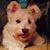 Mike Widmer's profile image
