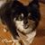 Erika Anderson's profile image