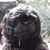 Pam Masterson's profile image