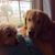 Michelle Terry Abbitt's profile image