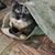 Rosmarie Peterson's profile image