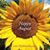 Dottie Redden's profile image