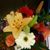 Jan Voigt Wilmott's profile image
