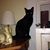 Bobby Peeler's profile image