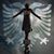 Roland Daja's profile image