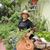 Jane Schneeman's profile image