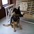 Doug Strohkirch's profile image