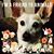 April Jo Doyle's profile image