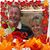 Jane Fisher McRoberts's profile image
