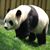 Linda Thomas's profile image
