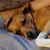 Sue Gaeta's profile image
