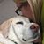 Lisa Wright's profile image