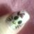 Lilo Weiler's profile image