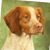 Betsy Wallace's profile image