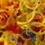 Ardis Thiel's profile image