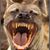 Andrea Basili's profile image