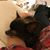 Stacey Boyer's profile image
