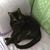 Helen G Deschenes's profile image