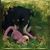 Joyce Knutson's profile image