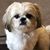 Lisa Faulise Johnson's profile image