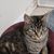 Rebecca Bracken-Bouch's profile image