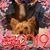 Annie Bazire-Harment's profile image