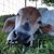 Libbie Paxton's profile image