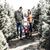 Amanda Neal's profile image