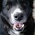 Jeanne Kelley's profile image
