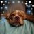 Malinda Hogue Brown's profile image