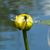 Debby Emlen's profile image