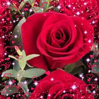 Nielenys Zunigas's profile image