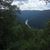 Michelle Bucklew Bolyard's profile image