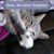Samantha J. Caldwell Ashmore's profile image