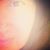 Allison Judy Beckman's profile image