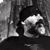 Richard Townsend's profile image