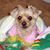 Beca Fulcher's profile image