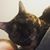 Jaime MWilson's profile image