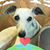 Nancy Koker's profile image