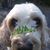 Sharon Andrien's profile image