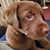 Kelley Koeppel Lane's profile image